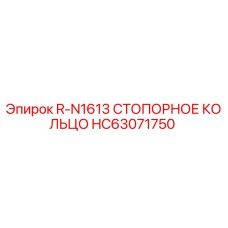 HC63071750 R-N1613 СТОПОРНОЕ КОЛЬЦО Epiroc