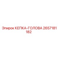 2657181182 КЕПКА-ГОЛОВА Epiroc