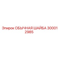300012985 ОБЫЧНАЯ ШАЙБА Epiroc