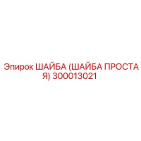 300013021 ШАЙБА (ШАЙБА ПРОСТАЯ) Epiroc