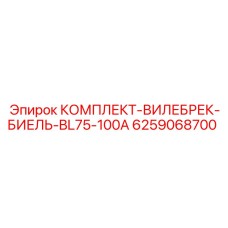 6259068700 КОМПЛЕКТ ВИЛЕБРЕК БИЕЛЬ BL75-100A Epiroc