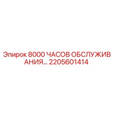 2205601414 - 8000 ЧАСОВ ОБСЛУЖИВАНИЯ - Эпирок