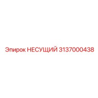 3137000438 НЕСУЩИЙ Epiroc