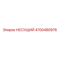 4700480976 НЕСУЩИЙ Epiroc