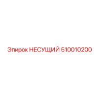 510010200 НЕСУЩИЙ Epiroc