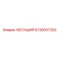 5730007253 НЕСУЩИЙ Epiroc