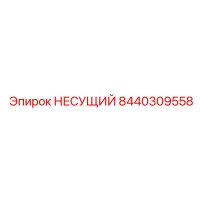 8440309558 НЕСУЩИЙ Epiroc