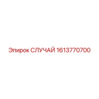 1613770700 СЛУЧАЙ Epiroc