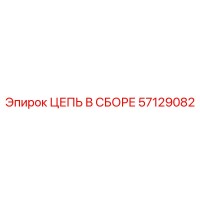 57129082 ЦЕПЬ В СБОРЕ Epiroc