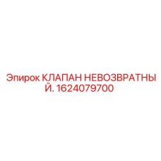 КЛАПАН НЕВОЗВРАТНЫЙ 1624079700 от Epiroc