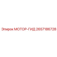 2657186728 МОТОР-ГИД Epiroc