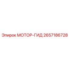 2657186728 МОТОР-ГИД Epiroc