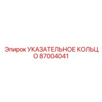 87004041 УКАЗАТЕЛЬНОЕ КОЛЬЦО Epiroc