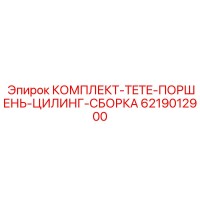 6219012900 КОМПЛЕКТ TETE ПОРШЕНЬ ЦИЛИНГ СБОРКА Epiroc