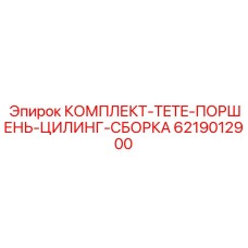 6219012900 КОМПЛЕКТ TETE ПОРШЕНЬ ЦИЛИНГ СБОРКА Epiroc