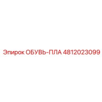 4812023099 ОБУВЬ-ПЛА - Epiroc