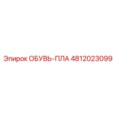 4812023099 ОБУВЬ-ПЛА - Epiroc