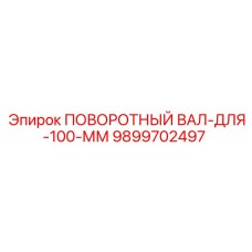 9899702497 ПОВОРОТНЫЙ ВАЛ-ДЛЯ-100-ММ Epiroc