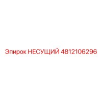 4812106296 НЕСУЩИЙ Эпирок (Epiroc)