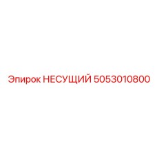 5053010800 НЕСУЩИЙ Epiroc