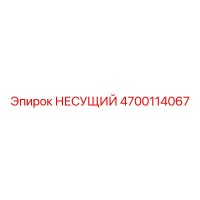 4700114067 НЕСУЩИЙ Epiroc