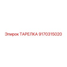 9170315020 ТАРЕЛКА Epiroc