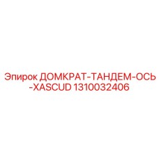 1310032406 ДОМКРАТ-ТАНДЕМ-ОСЬ-XASCUD Epiroc