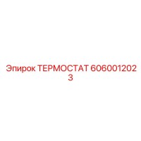 6060012023 ТЕРМОСТАТ Epiroc