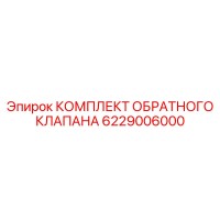 6229006000 КОМПЛЕКТ ОБРАТНОГО КЛАПАНА Epiroc