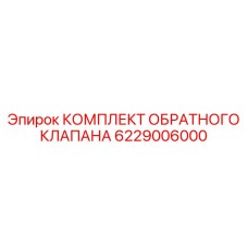 6229006000 КОМПЛЕКТ ОБРАТНОГО КЛАПАНА Epiroc