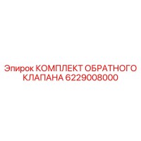 6229008000 КОМПЛЕКТ ОБРАТНОГО КЛАПАНА Epiroc