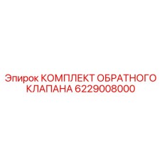 6229008000 КОМПЛЕКТ ОБРАТНОГО КЛАПАНА Epiroc