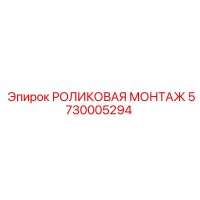 5730005294 РОЛИКОВАЯ МОНТАЖ Epiroc