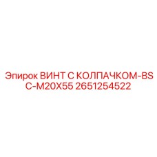 Винт для тяжелых условий Epiroc 2651254522 BSC-M20X55