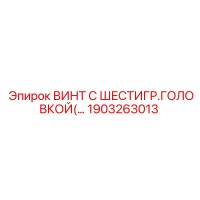 1903263013 ВИНТ С ШЕСТИГР.ГОЛОВКОЙ Epiroc