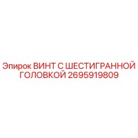 2695919809 ВИНТ С ШЕСТИГРАННОЙ ГОЛОВКОЙ Epiroc
