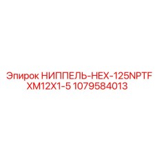 1079584013 НИППЕЛЬ-HEX-125NPTFXM12X1-5 Epiroc