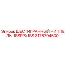 3176794500 - ШЕСТИГРАННЫЙ НИППЕЛЬ-1BSPPX1BS Epiroc