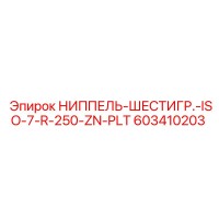 603410203 НИППЕЛЬ-ШЕСТИГР.-ISO-7-R-250-ZN-PLT Epiroc