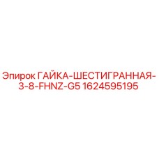 1624595195 ГАЙКА-ШЕСТИГРАННАЯ-3-8-FHNZ-G5 Epiroc