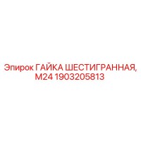 1903205813 ГАЙКА ШЕСТИГРАННАЯ, М24 Epiroc