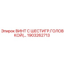1903262713 ВИНТ С ШЕСТИГР.ГОЛОВКОЙ Epiroc