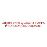 5730005891 ВИНТ С ШЕСТИГРАННОЙ ГОЛОВКОЙ Epiroc