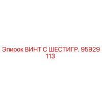 95929113 ВИНТ С ШЕСТИГР. | Epiroc