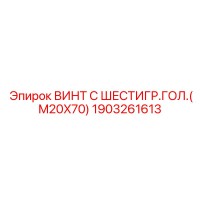 1903261613 ВИНТ С ШЕСТИГР.ГОЛ.(M20X70) Epiroc