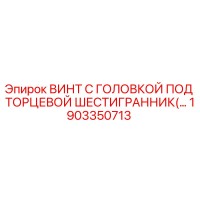 1903350713 ВИНТ С ГОЛОВКОЙ ПОД ТОРЦЕВОЙ ШЕСТИГРАННИК Epiroc