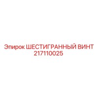 217110025 ШЕСТИГРАННЫЙ ВИНТ Эпирок