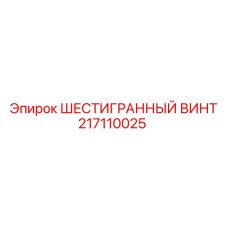 217110025 ШЕСТИГРАННЫЙ ВИНТ Эпирок