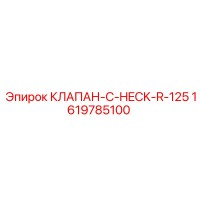 1619785100 КЛАПАН-C-HECK-R-125 Epiroc