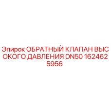 1624625956 - ОБРАТНЫЙ КЛАПАН ВЫСОКОГО ДАВЛЕНИЯ DN50 (Epiroc)